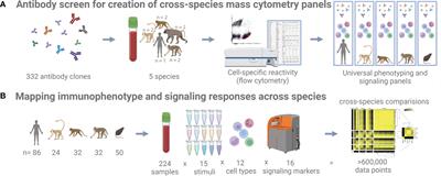 A Comprehensive Atlas of Immunological Differences Between Humans, Mice, and Non-Human Primates